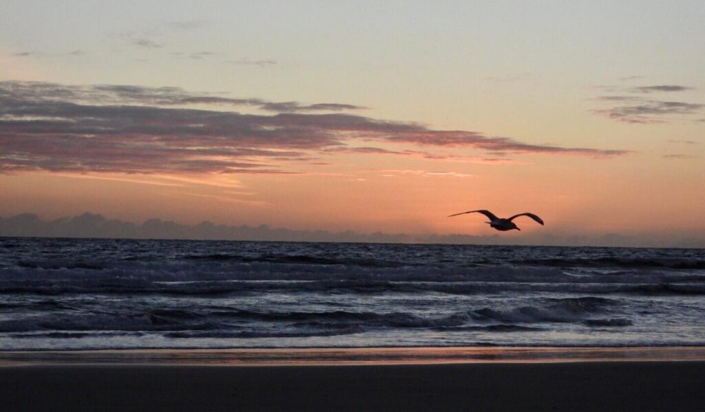 Regular Classes 277894380 1151560468942614 2498334732667306543 n